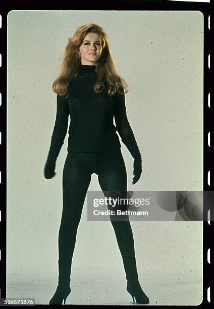 ann margret sexy|86 Ann Margret 1966 Stock Photos & High